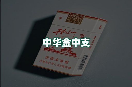 中华金中支